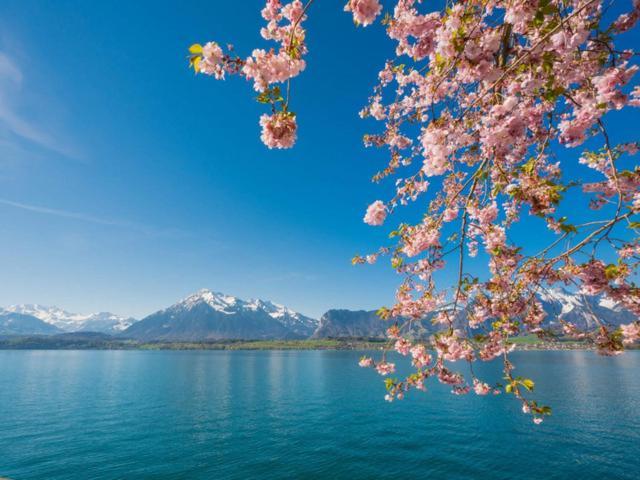 Schoene Ferienwohnung Mit Seeblick Thun Exterior photo